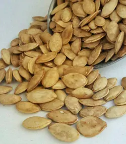 تخمه کدو درشت