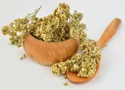 بومادران 50 گرمی پاکتی