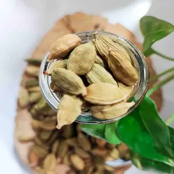 هل درشت درجه یک