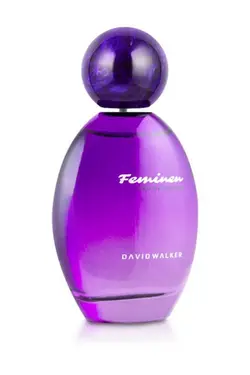 عطر زنانه دیوید واکر اورجینال | B-206 DW 100
