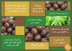 روغن کرچک سالم