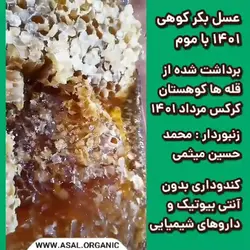 عسل  بکر کوهی ارگانیک (عسل آویشن) برداشت مرداد 1401   با موم 700 گرمی