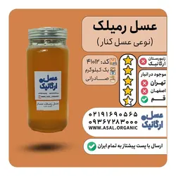 عسل رمیلک (رملک) صادراتی یک کیلویی (نوعی کنار با طعمی خاص و متفاوت  است )