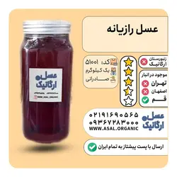 عسل رازیانه (مخصوص بانوان ) یک کیلویی  عسل بست هانی