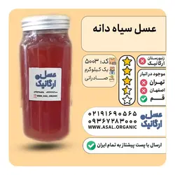 عسل سیاه دانه یک کیلویی  عسل بست هانی