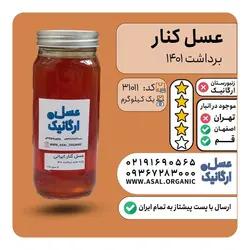 عسل کنار ایرانی یک کیلویی (بهترین برای تقویت قوا)