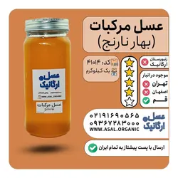 عسل مرکبات ـ عسل بهار نارنج یک کیلویی بست هانی