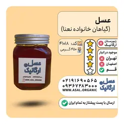عسل نعنا وحشی 450 گرمی طعمی خاص و منحصر بفرد  (بسیار کم یاب)
