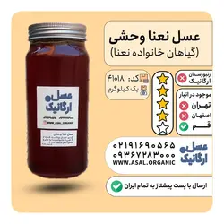 عسل نعنا وحشی یک کیلویی  طعمی خاص و منحصر بفرد  (بسیار کم یاب)