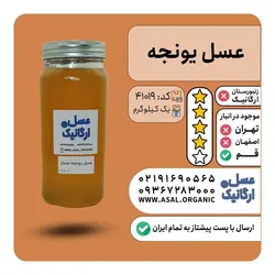 عسل یونجه (رس گیری شده) یک کیلویی
