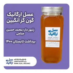 عسل گون گز انگبین ارگانیک کوهرنگ (یک کیلویی)