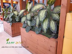 فلاور باکس چوبی مدل سهند