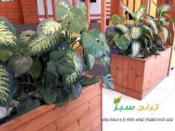 فلاور باکس چوبی مدل سهند