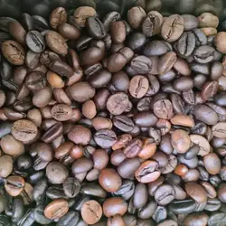 قهوه اسپرسو فله یک کیلویی (مدیوم)