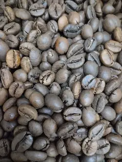 قهوه روبوستا 250 گرمی(مدیوم)