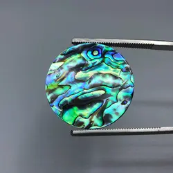 صدف آبالون(دابلت شده)