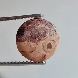 سان فلاور جاسپر