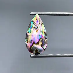 صدف آبالون(دابلت شده)