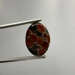 پینوت وود ابسیدین