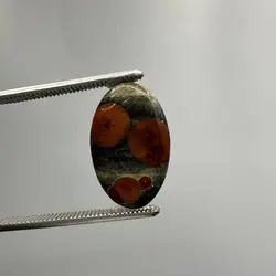 پینوت وود ابسیدین