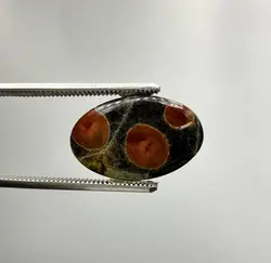 پینوت وود ابسیدین