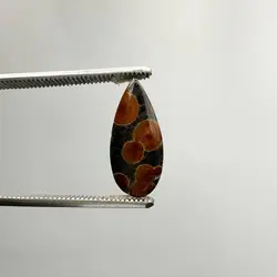 پینوت وود ابسیدین