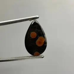 پینوت وود ابسیدین