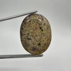 اوشن جاسپر - سنگ تاج محل