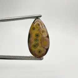 اوشن جاسپر - سنگ تاج محل