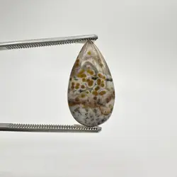 اوشن جاسپر - سنگ تاج محل