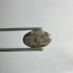 ماشروم جاسپر - سنگ تاج محل