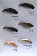 رنگ ابرو بلگا پلاتینه