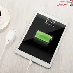 شارژر آیپد Ipad Mini 4 (12 وات اورجینال)