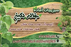 کارت ویزیت سبزیجات آماده خاله نگین