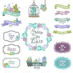 وکتور حاشیه و گل کاکتوس رنگی