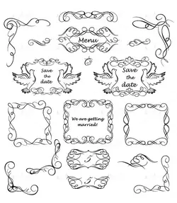 وکتور کادر و حاشیه با قاب عکس و کبوتر