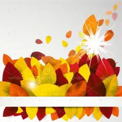 وکتور قاب برای نوشته و پس زمینه با برگ پاییزی و نور درخشنده