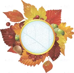 وکتور کادر و حاشیه برای نوشتن و عکس با نمای پس زمینه برگ سرخ زرد پاییزی