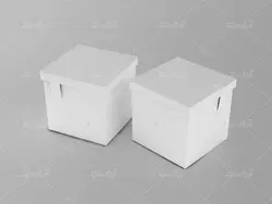موکاپ انواع جعبه بسته بندی پیتزا پاکت غذا