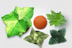 موکاپ لوازم الکترونیک دوربین و لبتاب همراه گیتار و ساعت