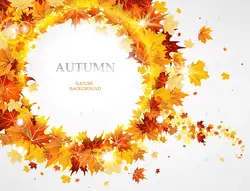 وکتور برگ پاییزی ریخته شده به شکل دایره