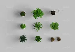 موکاپ ساعت و کلاه دستگاه تایپ قدیمی مانیتور و گلدان