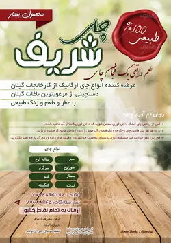 عکس لایه باز دکوراسیون مبل کرمی با کوسنای تیره راه راه