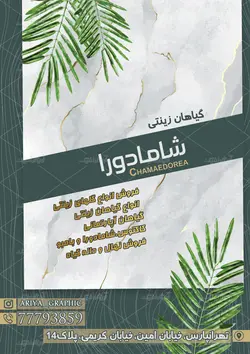 تراکت گیاهان زینتی شامادورا