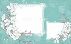 دانلود قاب عکس پی ان جی مناسب برای چاپ سابلیمیشن کوسن