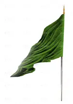 عکس با کیفیت از پرچم سبز مذهبی