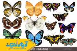 وکتور انواع پروانه