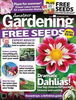 کتاب مجله انگلیسی آماتور گاردنینگ  Amateur Gardening - 19 February 2022