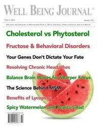 کتاب مجله انگلیسی ول بینگ ژورنال  Well Being Journal - Vol. 31 No. 3, Summer 2022