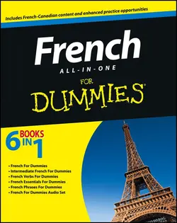 کتاب فرانسوی فرنچ فور دامیز French All-in-One For Dummies